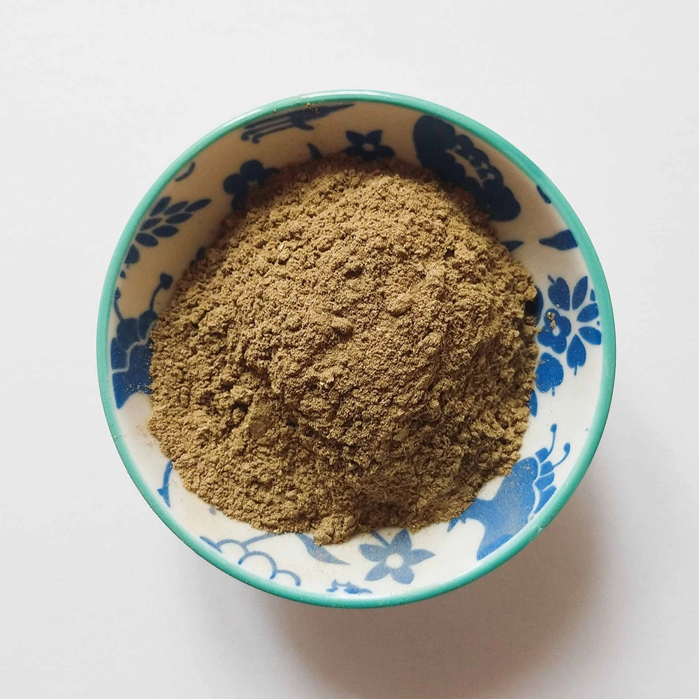 Brahmi (proszek) do włosów | Ziołka z Sojatu