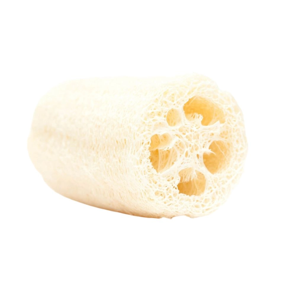 Gąbka Luffa, naturalna gąbka roślinna do mycia twarzy i ciała | Wild Nature