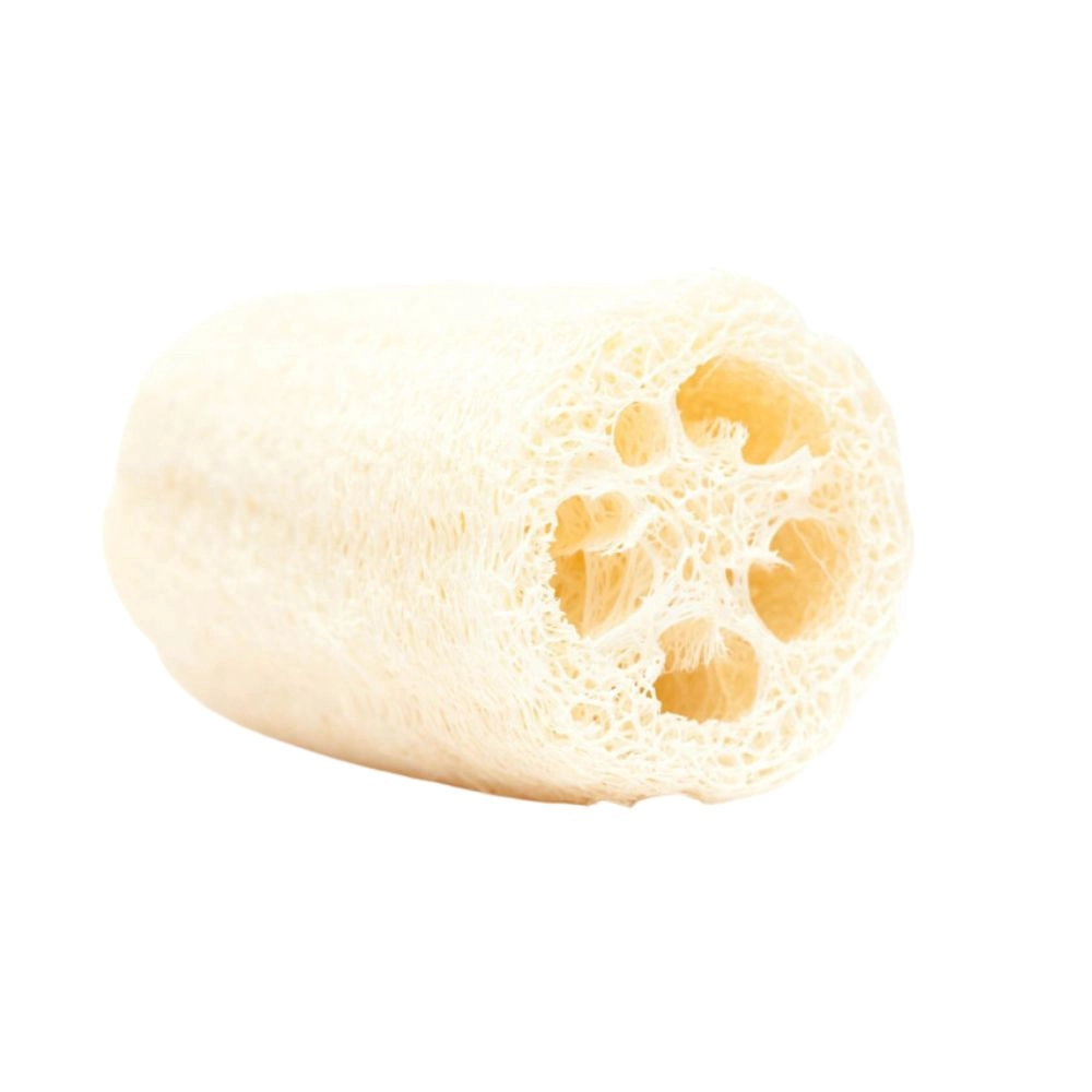 Gąbka Luffa, naturalna gąbka roślinna do mycia twarzy i ciała | Wild Nature