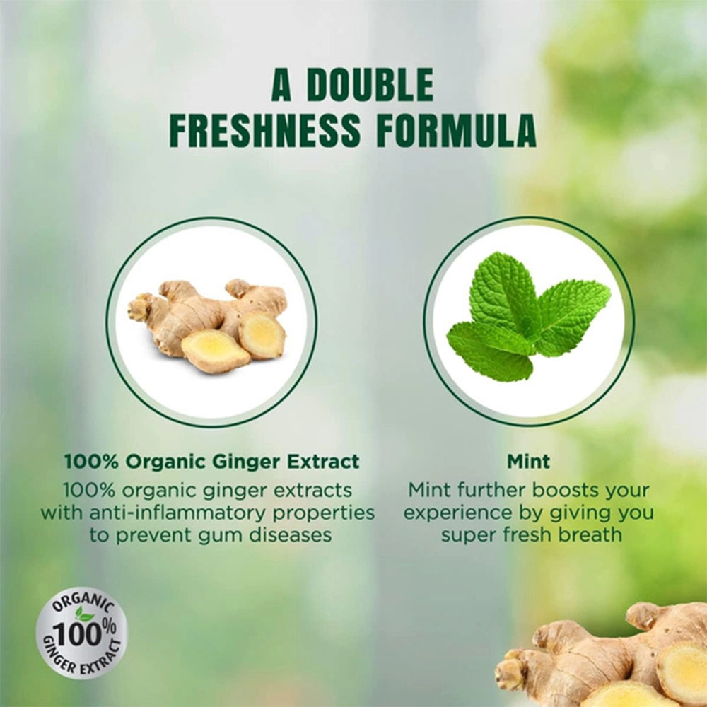 Pasta do zębów z imbirem | Dabur