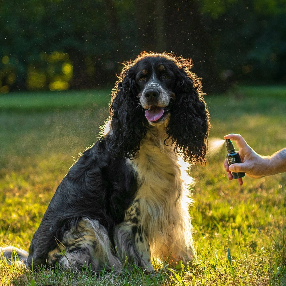 Płyn ochronny dla zwierząt | AIO Nature