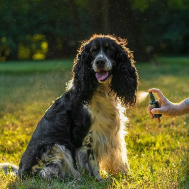 Płyn ochronny dla zwierząt | AIO Nature