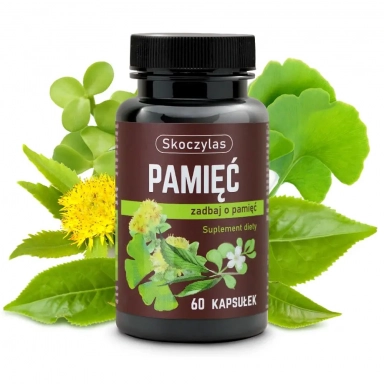 Suplement diety - PAMIĘĆ miłorząb, bakopa, ginkgo biloba, różeniec | Marek Skoczylas