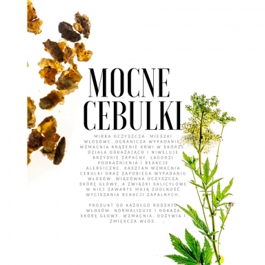 Szampon roślinny mirra - kasztan | Trawiaste