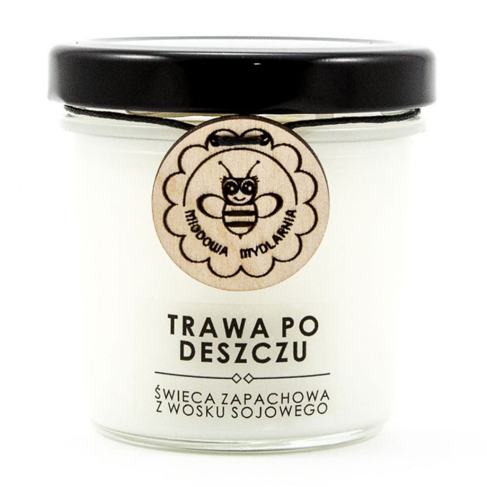 Świeca z wosku sojowego Trawa po deszczu | Miodowa Mydlarnia