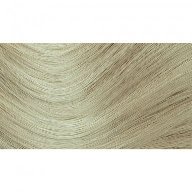 Farba do włosów 10N Platynowy Blond | Herbatint